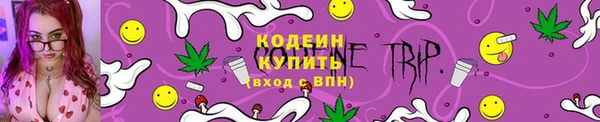 дживик Надым