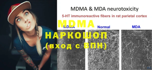 дживик Надым